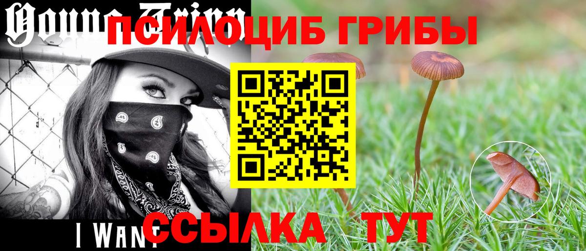 Псилоцибиновые грибы прущие грибы Абинск