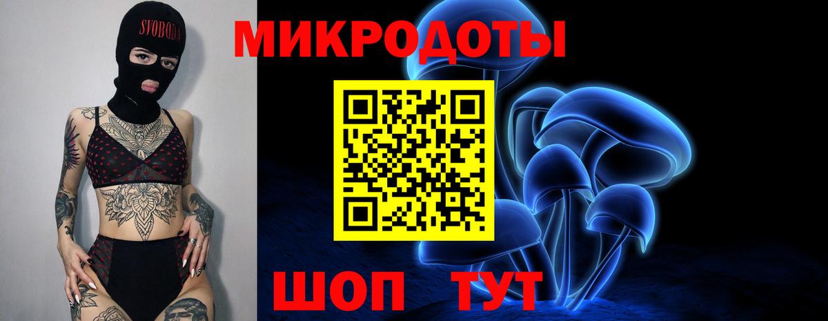 Абинск  Псилоцибиновые грибы Psilocybe  Вход с VPN  Псилоцибиновые грибы мицелий 